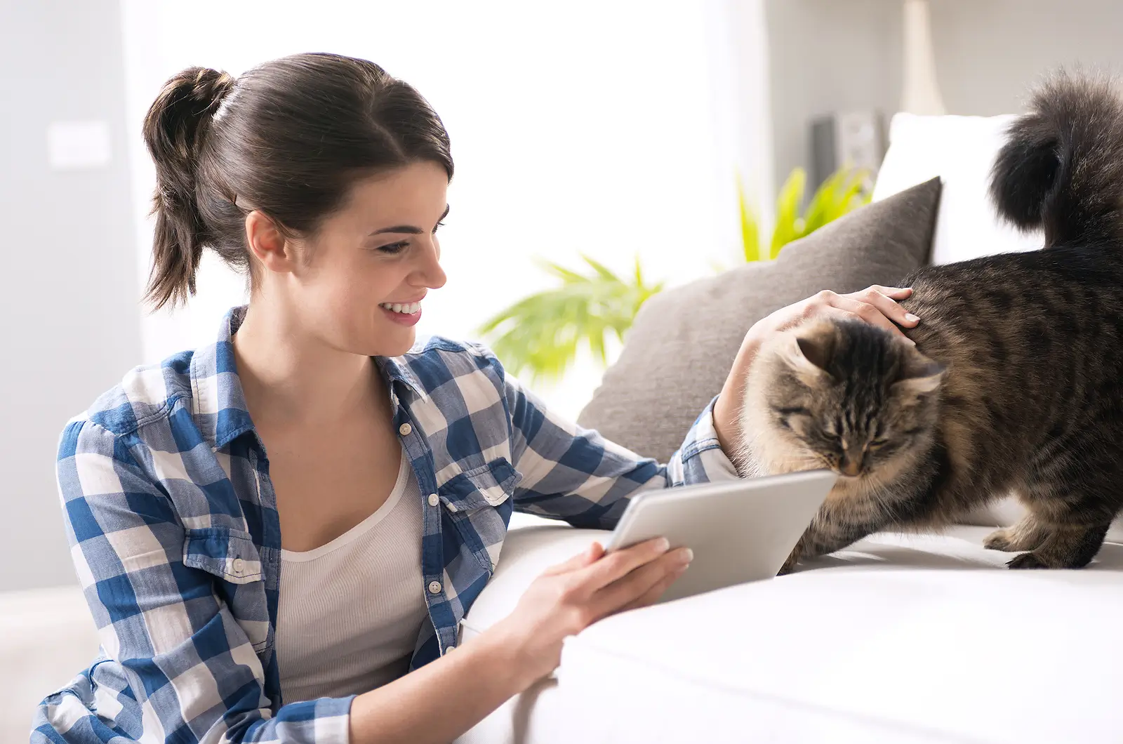 Why Pet Screening Is Just as Important as Tenant Screening in Hinesville Rental Properties